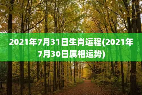 2021年7月31日生肖运程(2021年7月30日属相运势)