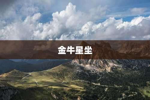 金牛星坐