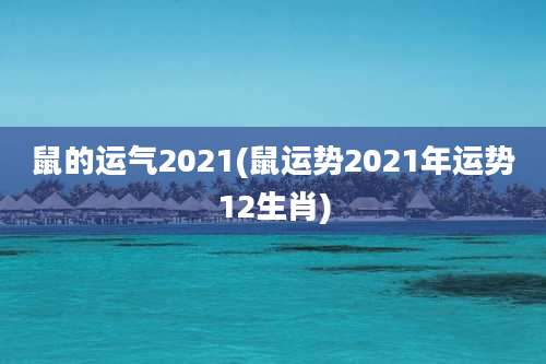 鼠的运气2021(鼠运势2021年运势12生肖)