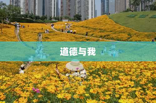 道德与我