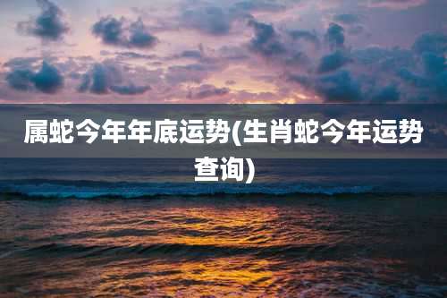 属蛇今年年底运势(生肖蛇今年运势查询)