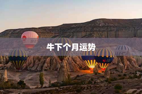 牛下个月运势