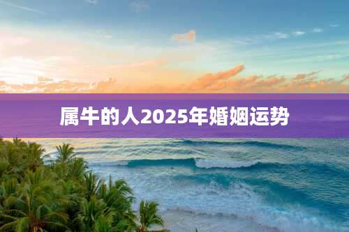 属牛的人2025年婚姻运势