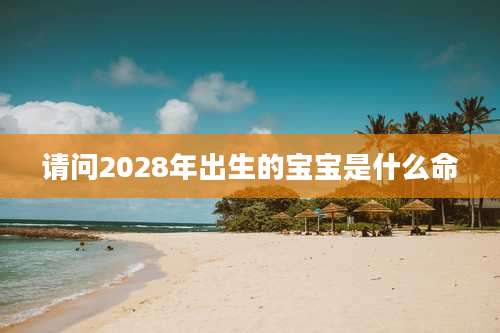 请问2028年出生的宝宝是什么命