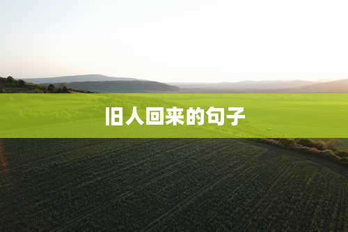 旧人回来的句子