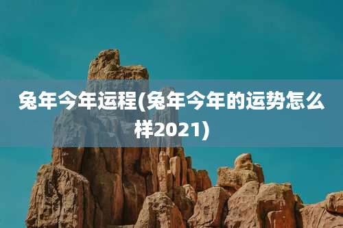 兔年今年运程(兔年今年的运势怎么样2021)