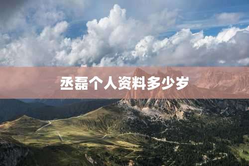 丞磊个人资料多少岁