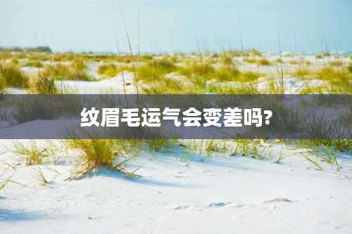 纹眉毛运气会变差吗?