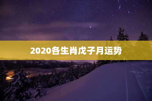 2020各生肖戊子月运势