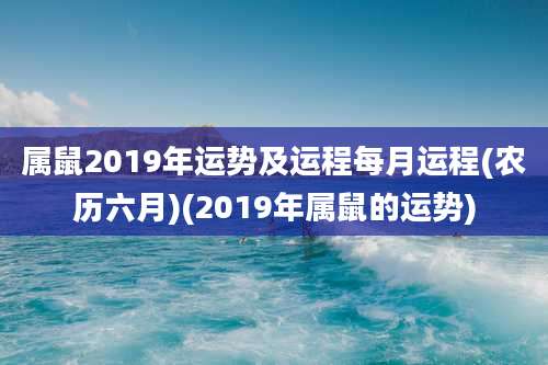 属鼠2019年运势及运程每月运程(农历六月)(2019年属鼠的运势)
