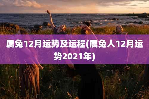 属兔12月运势及运程(属兔人12月运势2021年)