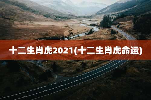 十二生肖虎2021(十二生肖虎命运)