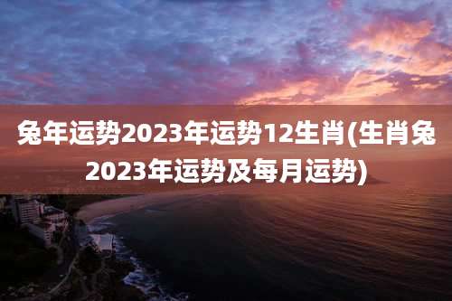 兔年运势2023年运势12生肖(生肖兔2023年运势及每月运势)