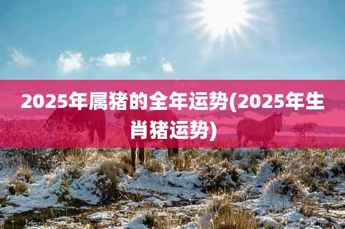 2025年属猪的全年运势(2025年生肖猪运势)