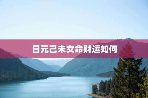 日元己未女命财运如何