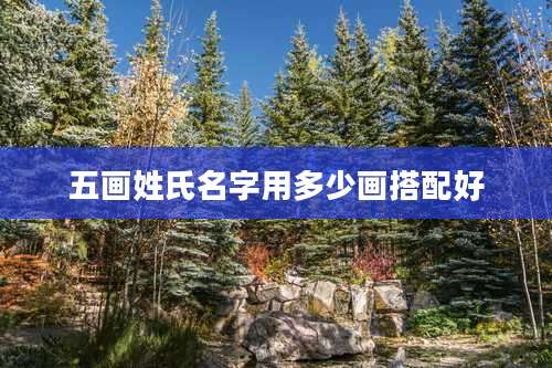 五画姓氏名字用多少画搭配好