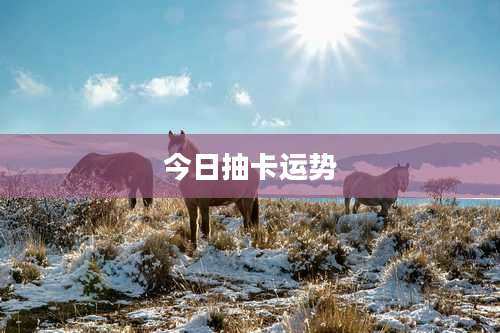 今日抽卡运势
