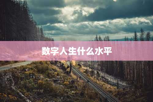 数字人生什么水平