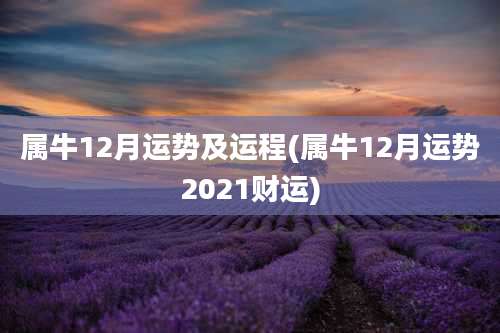 属牛12月运势及运程(属牛12月运势2021财运)