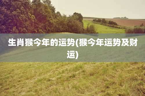 生肖猴今年的运势(猴今年运势及财运)