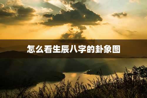 怎么看生辰八字的卦象图