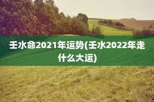 壬水命2021年运势(壬水2022年走什么大运)