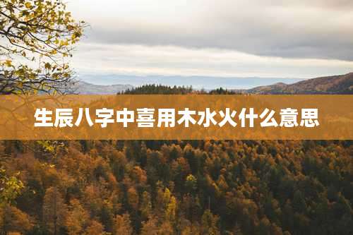 生辰八字中喜用木水火什么意思