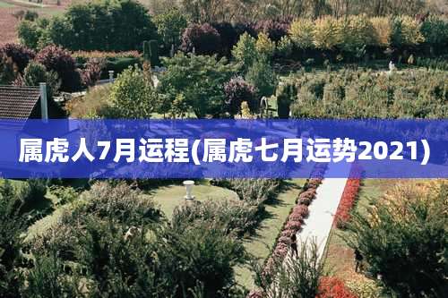 属虎人7月运程(属虎七月运势2021)
