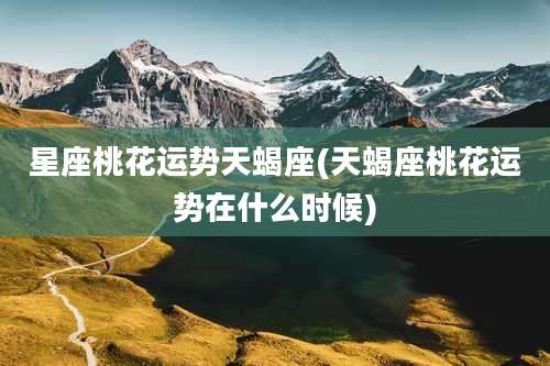 星座桃花运势天蝎座(天蝎座桃花运势在什么时候)