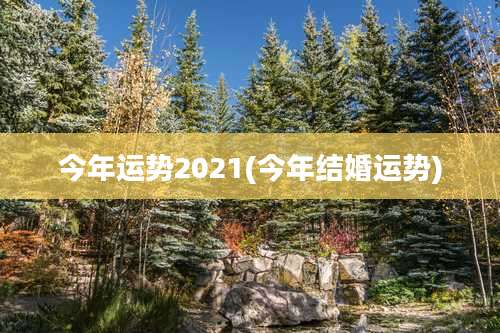 今年运势2021(今年结婚运势)