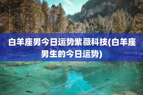 白羊座男今日运势紫薇科技(白羊座男生的今日运势)