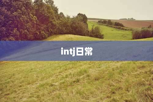 intj日常
