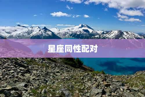 星座同性配对