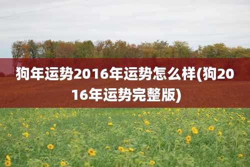 狗年运势2016年运势怎么样(狗2016年运势完整版)