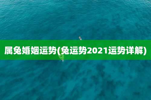 属兔婚姻运势(兔运势2021运势详解)