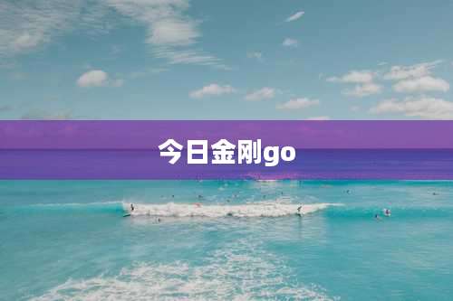 今日金刚go