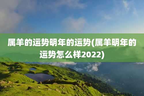 属羊的运势明年的运势(属羊明年的运势怎么样2022)