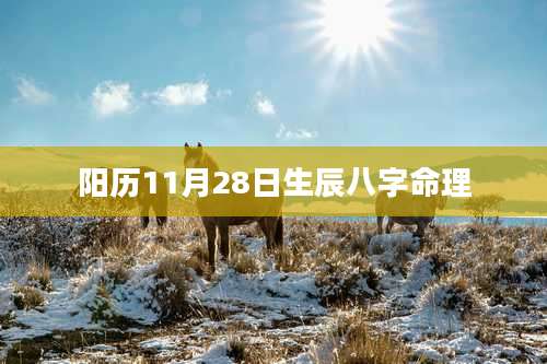 阳历11月28日生辰八字命理