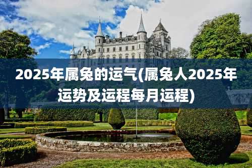 2025年属兔的运气(属兔人2025年运势及运程每月运程)
