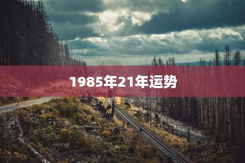 1985年21年运势