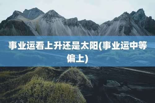 事业运看上升还是太阳(事业运中等偏上)