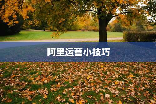 阿里运营小技巧
