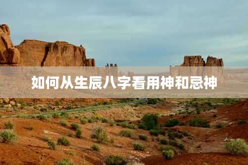 如何从生辰八字看用神和忌神