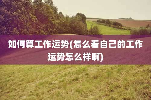如何算工作运势(怎么看自己的工作运势怎么样啊)