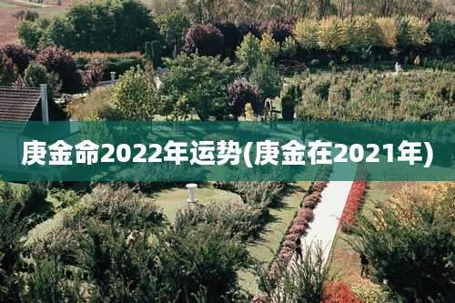 庚金命2022年运势(庚金在2021年)