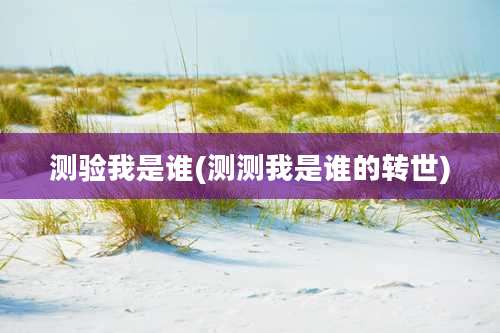 测验我是谁(测测我是谁的转世)