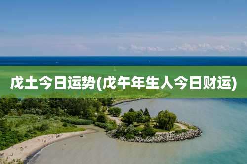 戊土今日运势(戊午年生人今日财运)