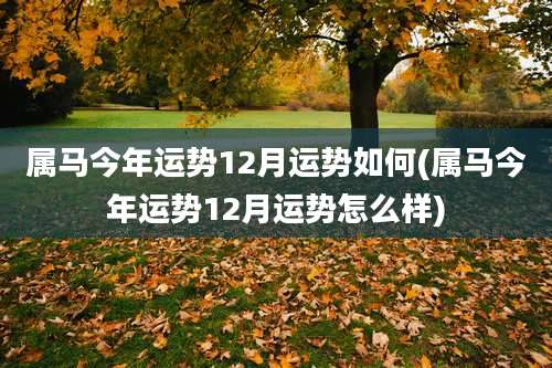 属马今年运势12月运势如何(属马今年运势12月运势怎么样)