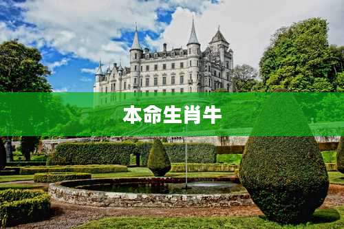 本命生肖牛