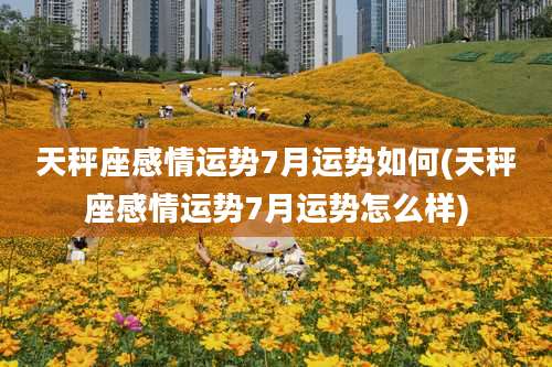 天秤座感情运势7月运势如何(天秤座感情运势7月运势怎么样)